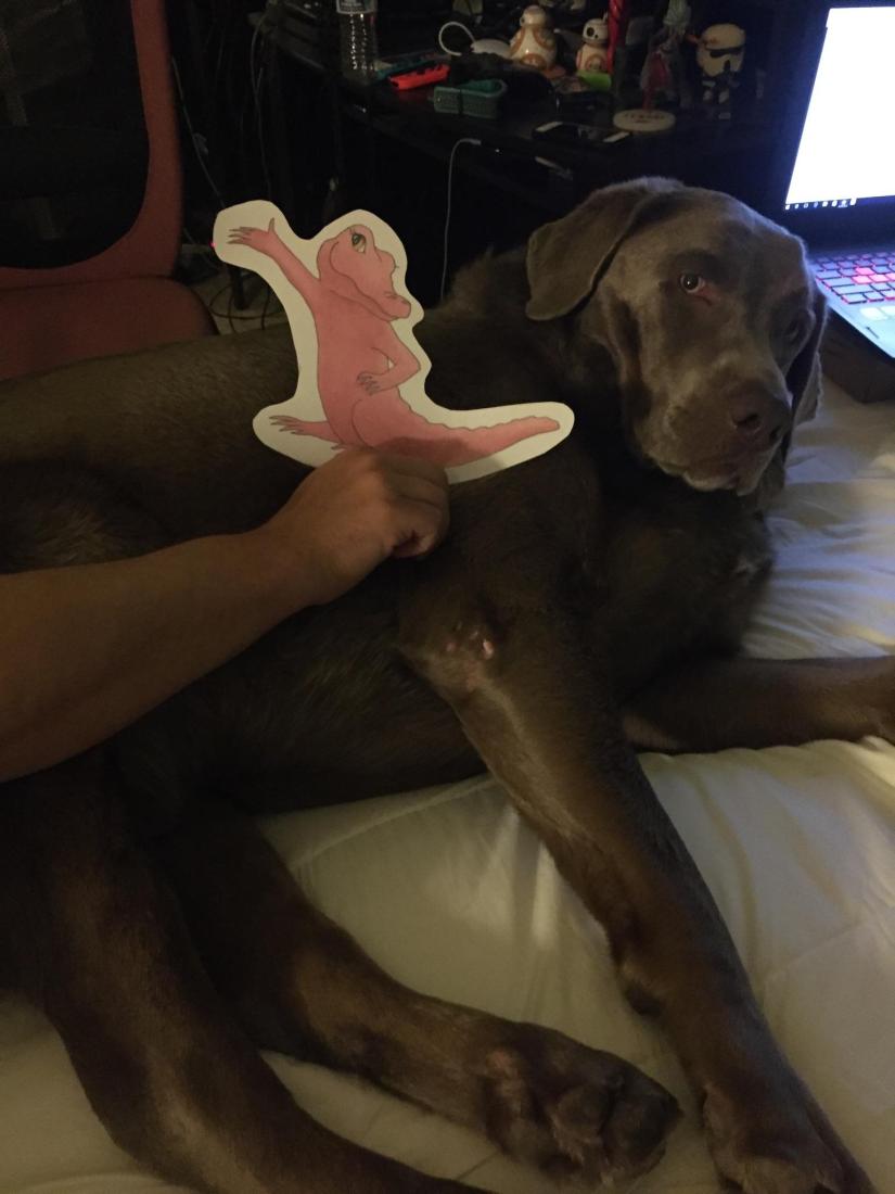 Flat PBA Baron April 2017