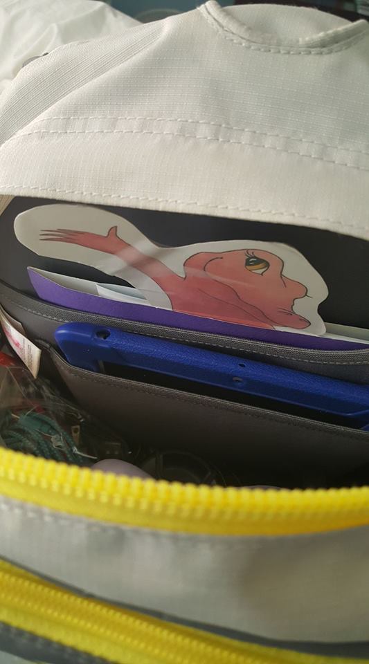 Flat Rose Ready to Travel Nov 2017 L Jimenez