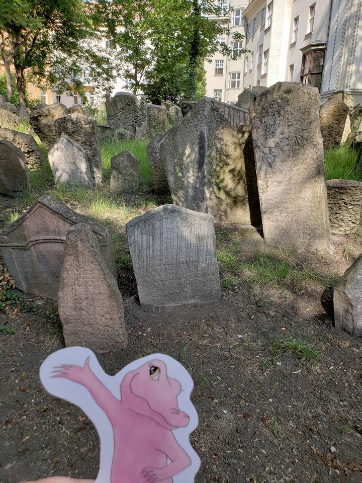 Flat Rose Travels Jewish Cemetery Landy May 2018