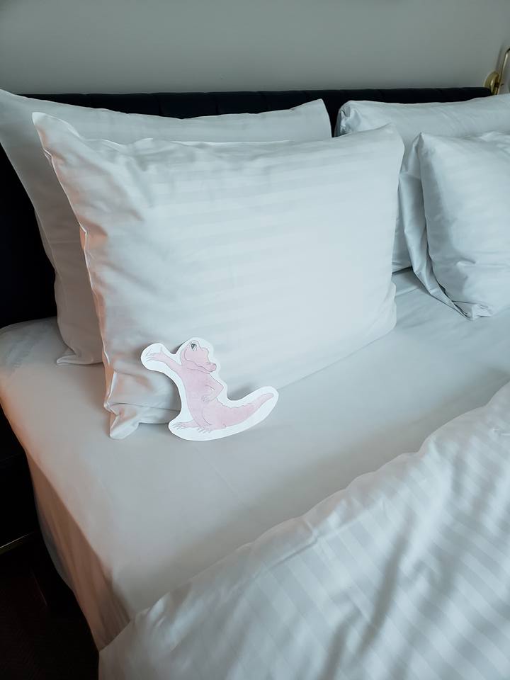 Flat Rose Travels Landy comfy bed May 2018