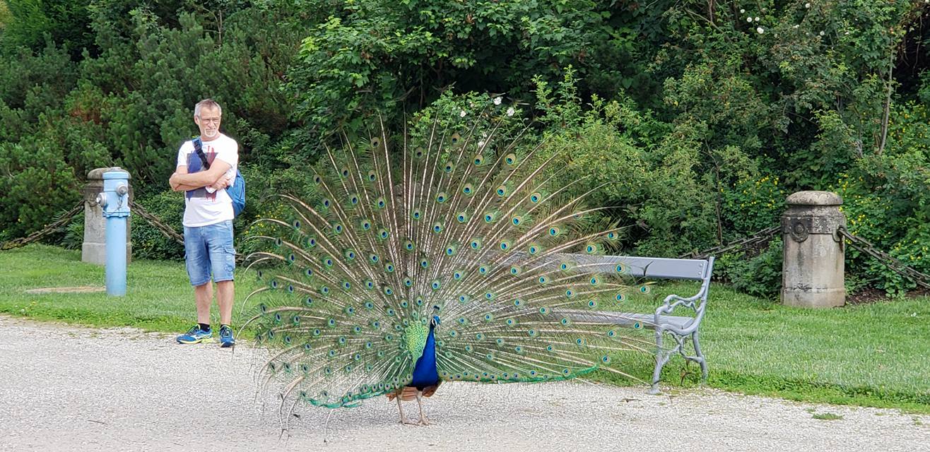 Flat Rose Travels Landy Eggenberg Palace and Petey June 2018
