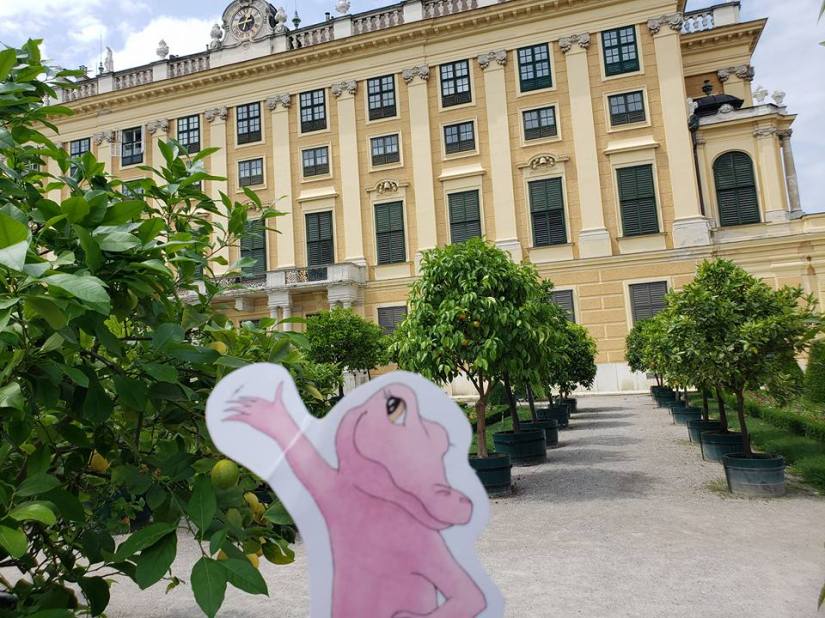 Flat Rose Travels Landy Lemon Tree in Vienna May 2018