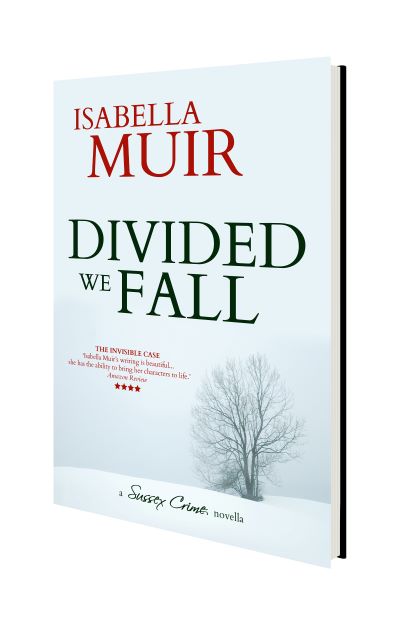 Divided We Fall 3D small