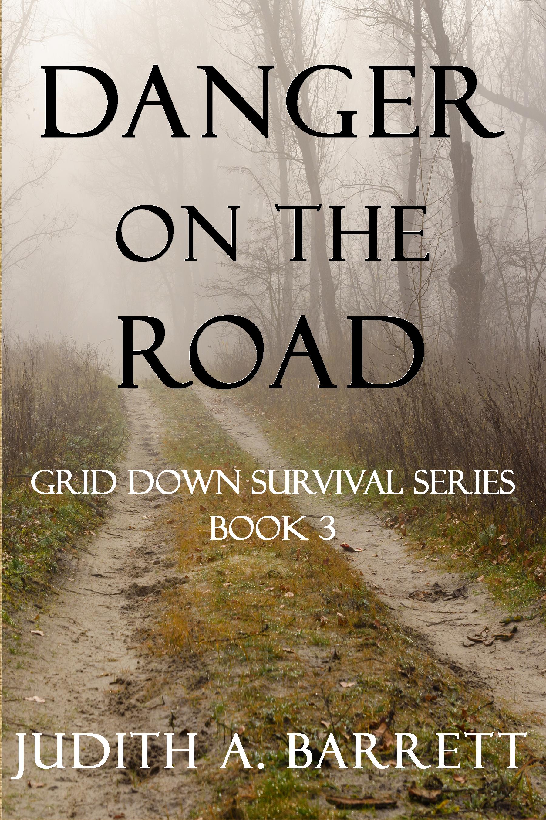 ROAD Cover BOOK 3 Nov 27 2020