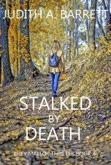 Woman In Autumn Park, Back View. Adult Girl Walks Up On Path In