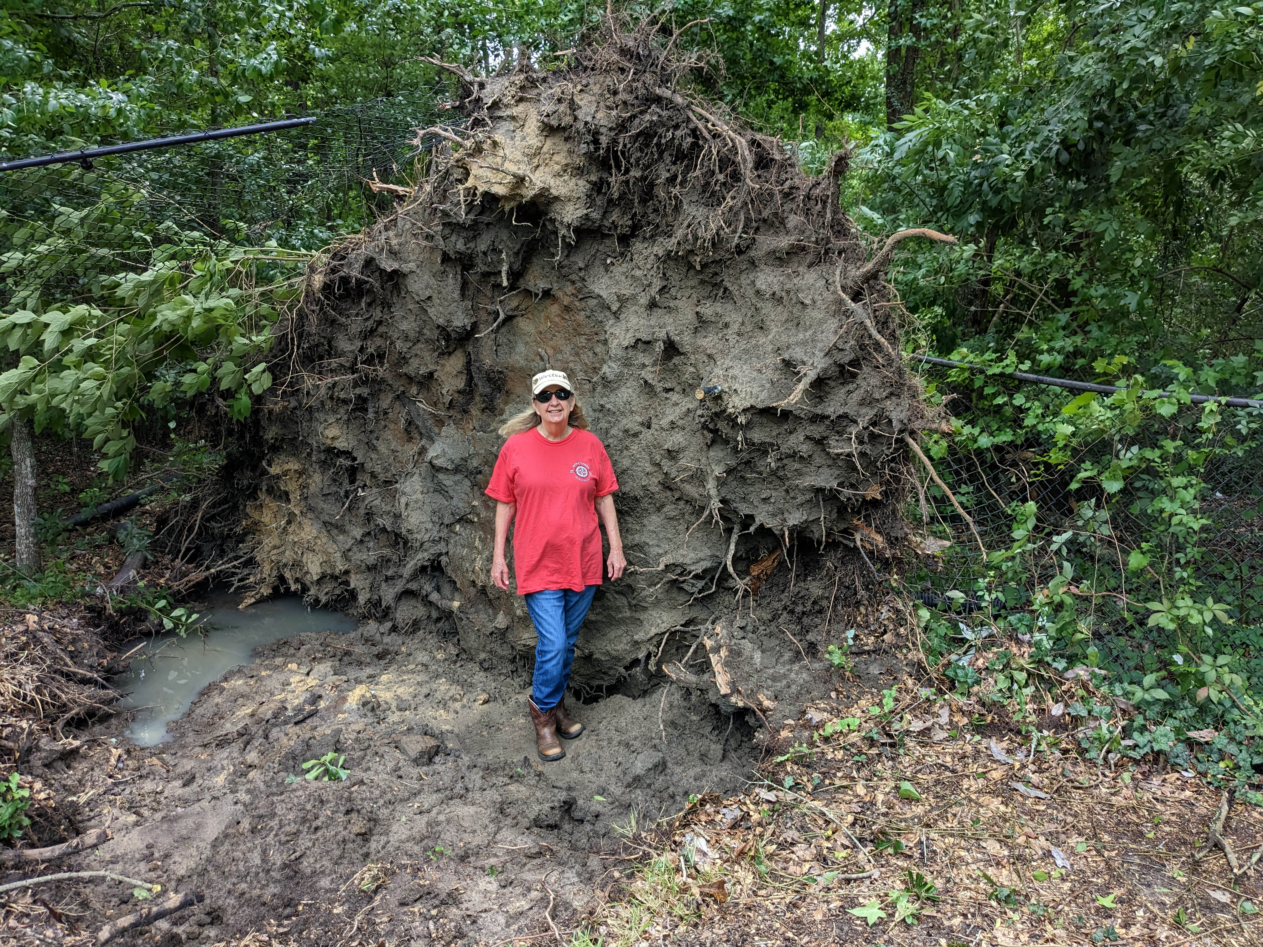 When the wind blows Jun 2023 smaller