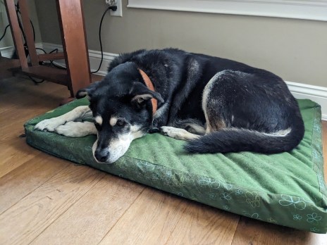 TJ and me writing Mar 2024 smaller